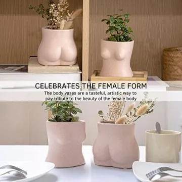 Stylish BASE ROOTS Home Decor Plant Pot for Indoor Use