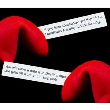 Miss Fortunes, Funny Fortune Cookies, The Dirty Dozen, Show Off Your Questionable Taste Today! Great For Valentine's Day and Bachelorette Parties, Written by Professional Comedy Writers (Box of 12 Individually Wrapped Cookies) (DirtyDozen1)