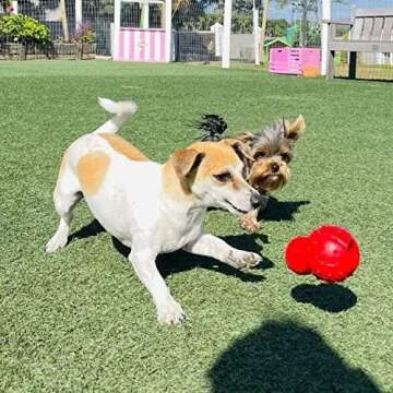 Nylabone Rubber Stuffable Cone Strong Chew Toy for Dogs, Dog Toys for Moderate & Aggressive Chewers,...