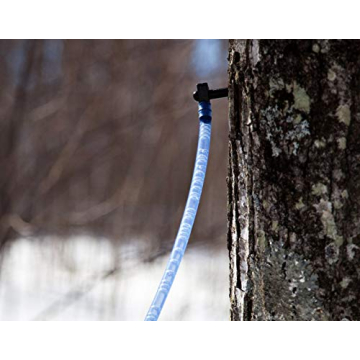 10 Maple Syrup Tree Tapping Kit for Perfect Homemade Syrup