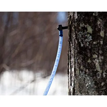 10 Maple Syrup Tree Tapping Kit for Perfect Homemade Syrup