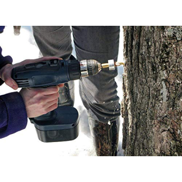 10 Maple Syrup Tree Tapping Kit for Perfect Homemade Syrup
