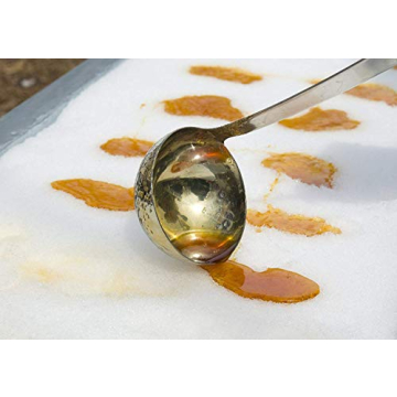 10 Maple Syrup Tree Tapping Kit for Perfect Homemade Syrup