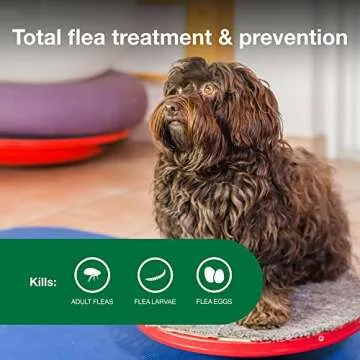 Advantage II Small Dog Vet-Recommended Flea Treatment & Prevention | Dogs 3-10 lbs. | 4-Month Supply