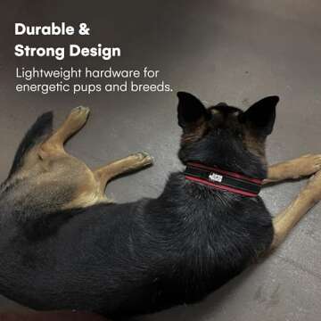 Black Rhino Dog Collar for Large Dogs - Adjustable Reflective Heavy Duty Dog Collars with Ultra-Soft Neoprene Padding - Weatherproof, Durable, and Comfortable for Active Dogs - Burgundy and Black