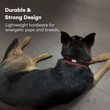 Black Rhino Dog Collar for Large Dogs - Adjustable Reflective Heavy Duty Dog Collars with Ultra-Soft Neoprene Padding - Weatherproof, Durable, and Comfortable for Active Dogs - Burgundy and Black