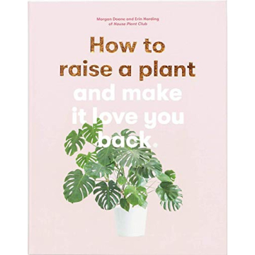 How to Raise a Plant Guide with Tips and DIY Ideas