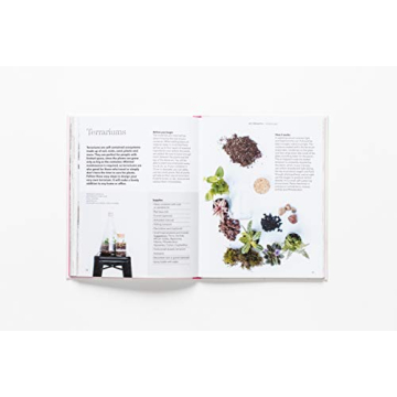 How to Raise a Plant Guide with Tips and DIY Ideas