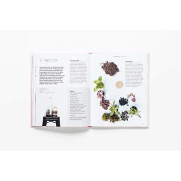 How to Raise a Plant Guide with Tips and DIY Ideas