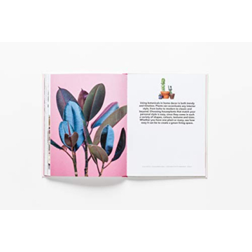 How to Raise a Plant Guide with Tips and DIY Ideas