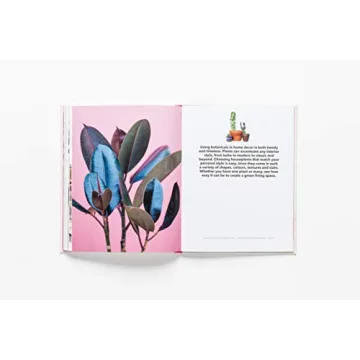 How to Raise a Plant Guide with Tips and DIY Ideas