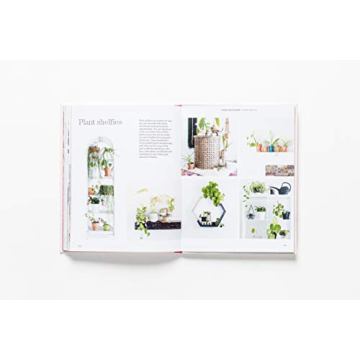 How to Raise a Plant Guide with Tips and DIY Ideas