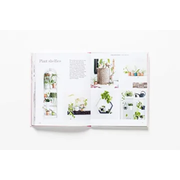 How to Raise a Plant Guide with Tips and DIY Ideas