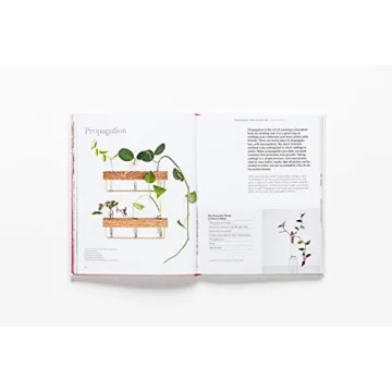 How to Raise a Plant Guide with Tips and DIY Ideas