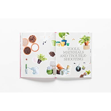 How to Raise a Plant Guide with Tips and DIY Ideas