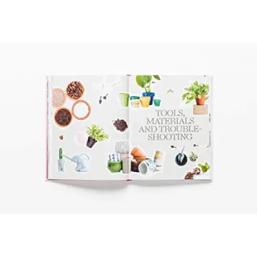 How to Raise a Plant Guide with Tips and DIY Ideas