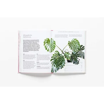 How to Raise a Plant Guide with Tips and DIY Ideas