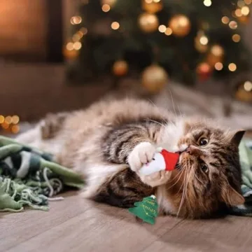 BINTPET Christmas Cat Wand Toy Set for Active Felines
