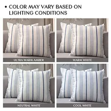 Sunlit Decorative Farmhouse Throw Pillow Case Set of 2