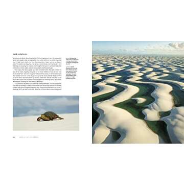 Life from Above: Epic Stories of the Natural World