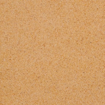 McCormick Garlic Powder - 8.75 oz of Flavorful Spice