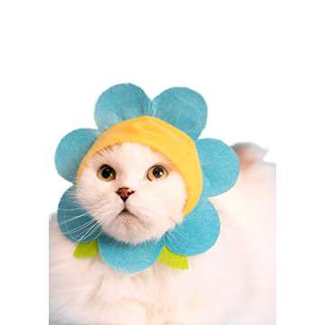 Kitan Club Cat Cap - Surprise Blind Box Pet Hat