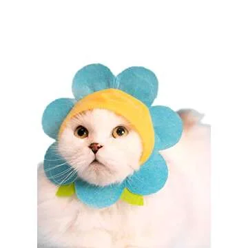 Kitan Club Cat Cap - Surprise Blind Box Pet Hat