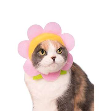 Kitan Club Cat Cap - Surprise Blind Box Pet Hat