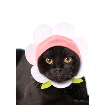 Kitan Club Cat Cap - Surprise Blind Box Pet Hat