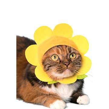 Kitan Club Cat Cap - Surprise Blind Box Pet Hat