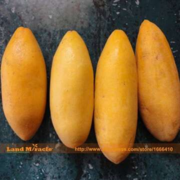 WANCHEN Rare Banana Passion Fruit Seeds, 20 Seeds/Pack, Pink Flower Tropical Garden Passiflora-Land Miracle