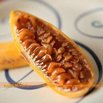 WANCHEN Rare Banana Passion Fruit Seeds, 20 Seeds/Pack, Pink Flower Tropical Garden Passiflora-Land Miracle