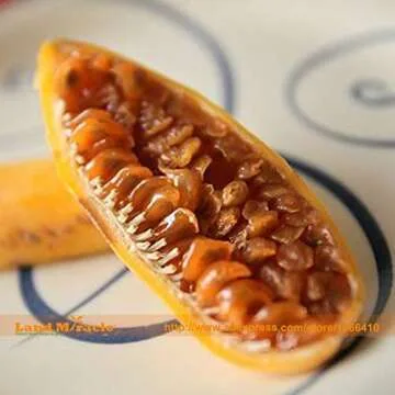 WANCHEN Rare Banana Passion Fruit Seeds, 20 Seeds/Pack, Pink Flower Tropical Garden Passiflora-Land Miracle