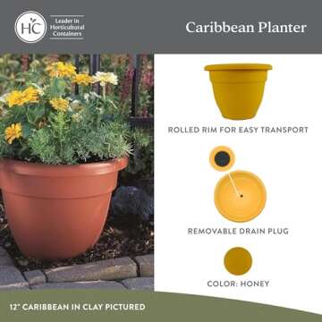 The HC Companies 12 Inch Caribbean Planter - Lightweight Indoor Outdoor Plastic Plant Pot for Herbs and Flowers, Honey