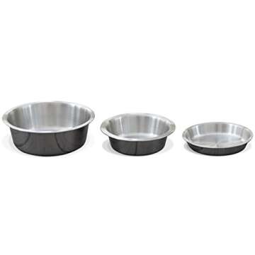 PetFusion Premium 304 Food Grade Stainless Steel Dog & Cat Bowls. Cat Bowls Shallow & Wide for Relief of Whisker Fatigue, Silver, 24-Ounce (PF-SB2)