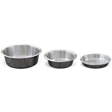PetFusion Premium 304 Food Grade Stainless Steel Dog & Cat Bowls. Cat Bowls Shallow & Wide for Relief of Whisker Fatigue, Silver, 24-Ounce (PF-SB2)