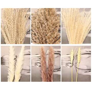 XZYFDHSY 65 Pcs Nature Dried Pampas Grass Decor Tall Pompous Grass,White Pampas Grass Vase Flower Arrangement,Pampas Grass Large,Boho Decor Pompas Floral,Dried Flower Bouquet Wedding Home Decorations