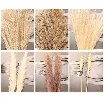 XZYFDHSY 65 Pcs Nature Dried Pampas Grass Decor Tall Pompous Grass,White Pampas Grass Vase Flower Arrangement,Pampas Grass Large,Boho Decor Pompas Floral,Dried Flower Bouquet Wedding Home Decorations