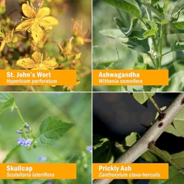 Herb Pharm Good Mood Herbal Tincture for Emotional Balance