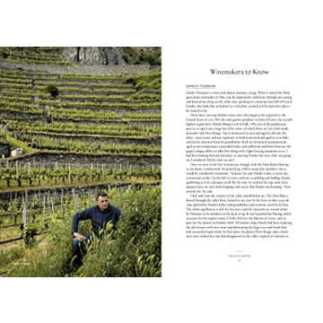 Discover Real Italian Wines with Vino Guide