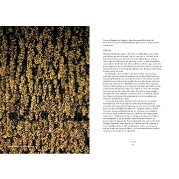 Discover Real Italian Wines with Vino Guide