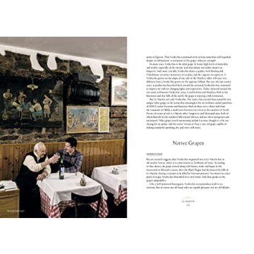 Discover Real Italian Wines with Vino Guide