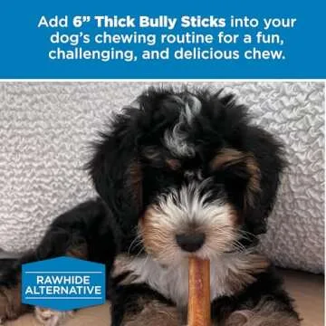 Best Bully Sticks 6 Inch Thick Bully Sticks - 18 Count (Pack of 1) - All Natural, Grass-Fed, Single Ingredient, Grain and Rawhide Free, Ideal for Big Breeds