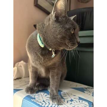 Giecooh Breakaway Cat Collar with Bells - Safe & Stylish