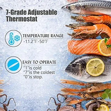 Compact Mini Freezer with Adjustable Temp Control