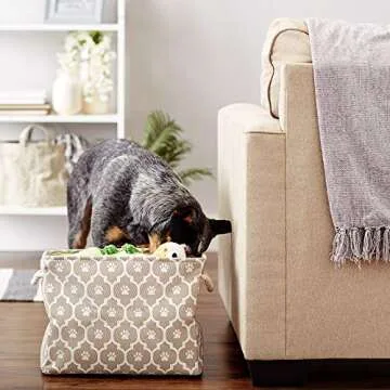 Bone Dry Medium Paw Print Pet Storage Bin for Toys