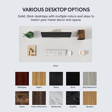 FLEXISPOT EN1 Electric Standing Desk for Home or Office