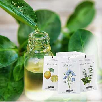 MYARO 12 Packs Scented Sachets for Drawer and Closet, Long-Lasting Closet Deodorizer Freshener, Potpourri Bags Room Scents Smell Goods for House 3 Scents - Fresh Linen, Eucalyptus Peppermint, Lemon