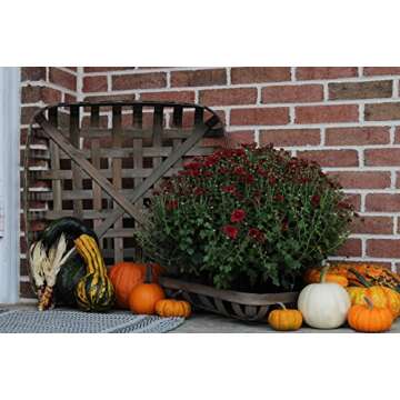 Urban Legacy Tobacco Baskets, Set of 3, (Medium, Large, XLarge) (Brown)