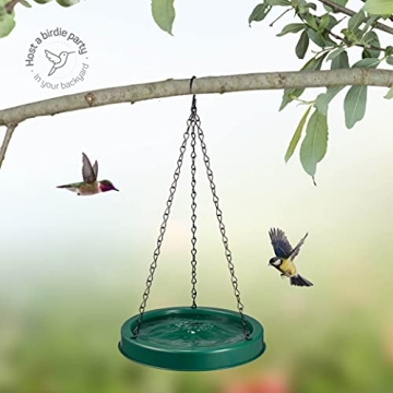 Durable 10 oz Hummingbird Feeder for Birdwatching Enthusiasts